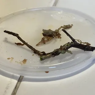 a plate of food left on the counter