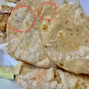Moldy tortillas!