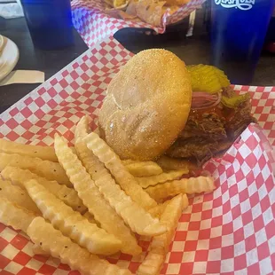 BBQ Brisket and Fries