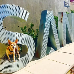 Pet friendly!