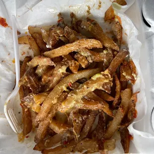 This is suppose to be carne asada fries!