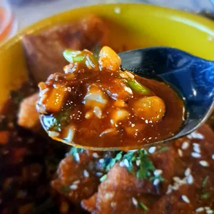 Birria Dumplings