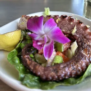 Grilled Octopus