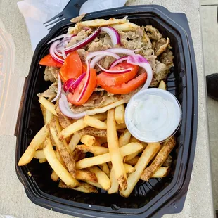 Gyro platter with french fries