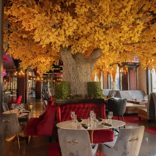 a restaurant with a large tree in the background