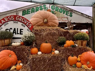Bearss Groves