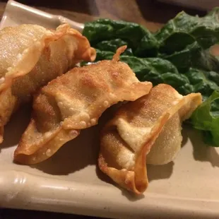 Gyoza