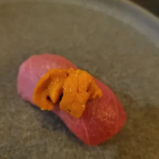 Fatty Tuna