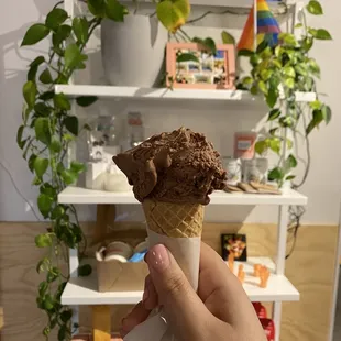 1 scoop of the chocolate hazelnut (the name was italian but i don&apos;t remember what it was actually called) on a sugar cone. AMAZING