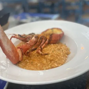 Risotto special (with 1/2 lobster)