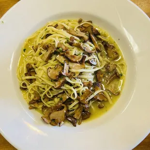 Pasta Special w/ Chanterelle Mushrooms