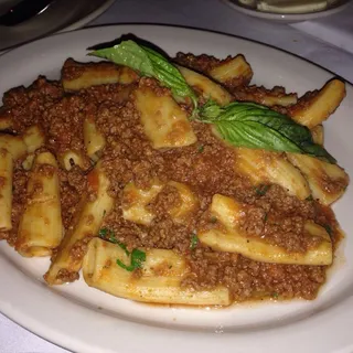 Bolognese