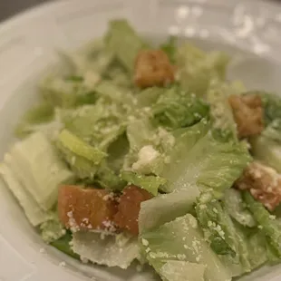 Cesar Salad