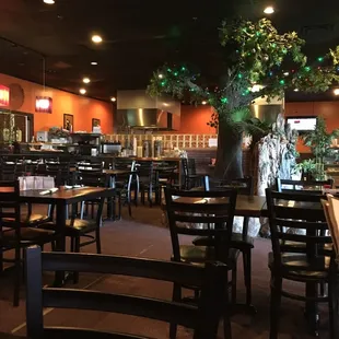 Inside tree and water feature