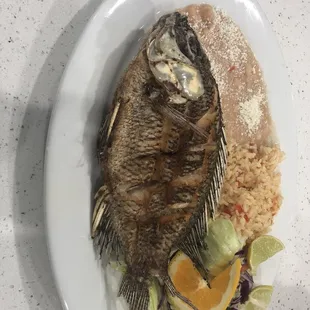 food, grilled fish, fish, seafood, grilled seafood