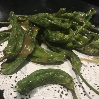 Shishito Pepper