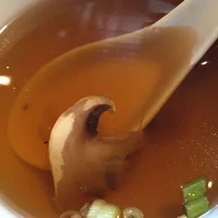 Onion Soup