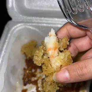 It was nasty and all crumbs .. shrimp tempura didn&apos;t even taste like it