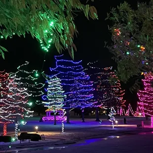 Best display of holiday lights anywhere!