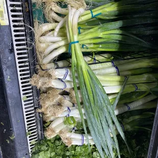 a display of fresh vegetables