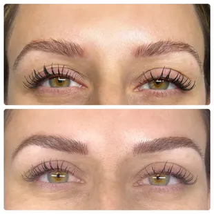 Previous work, not done by me covered up with Microblading and Microshading