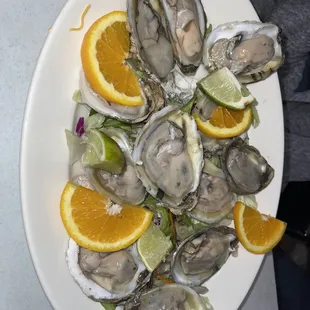 They have oysters here !