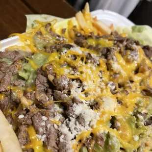 Carne asada fries