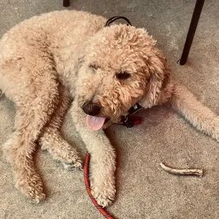 9/18/22, dog friendly patio!