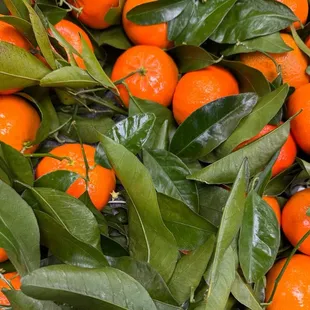 Fresh tangerines