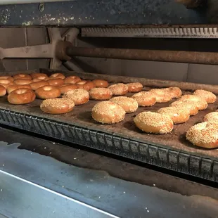 Freshly baked daily !