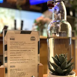 a bottle of water and a succulent