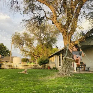 Backyard with swing at the guesthouse.