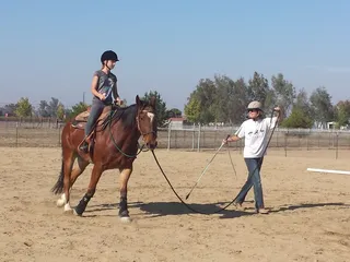Knoll's Basic Horsemanship