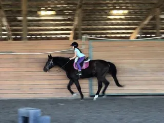 Aleya Tarver Horsemanship