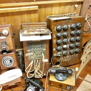 My kids favorite find