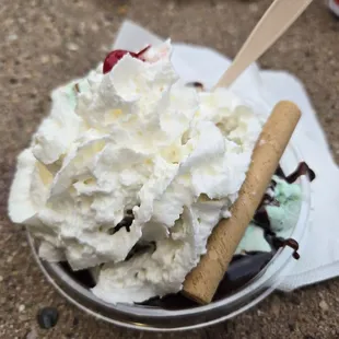 One scoop (!) Mint chocolate chip, fudge, whipped cream