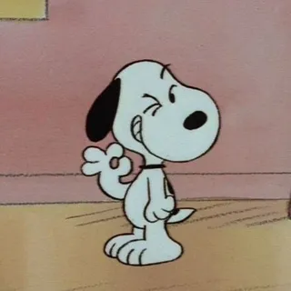 Antonio C.