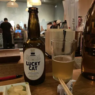 Lucky Cat