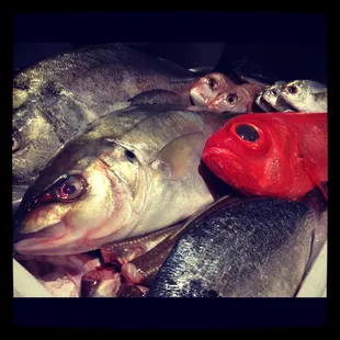 Direct flight from Japan