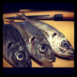 Wild Aji flight from Japan