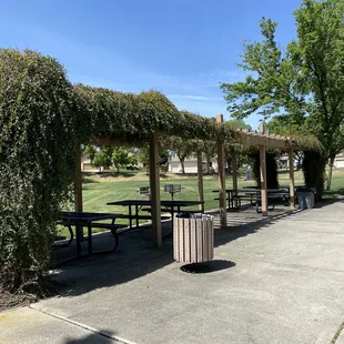 Picnic tables under shade and 2 grills