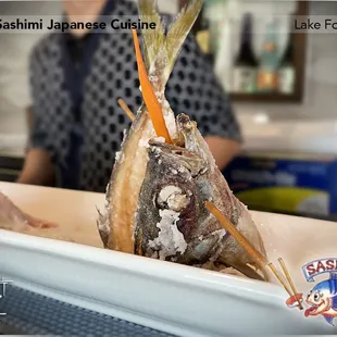 Sashimi Japanese Cuisine