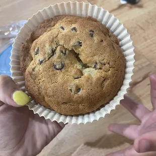 Chocolate chip nom nom