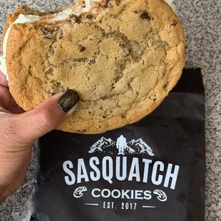 Ice cream sandwich