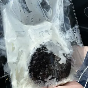 Ice cream sandwich