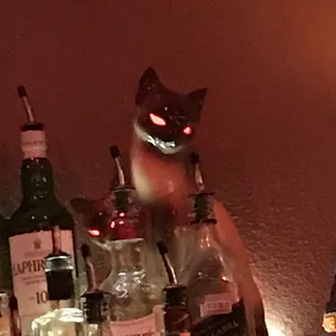 a cat with glowing eyes sitting on a bar