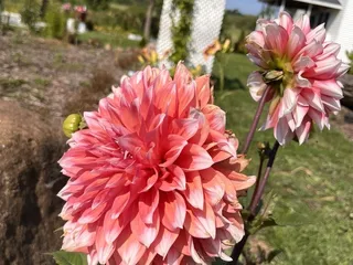 Pleasant View Bakery