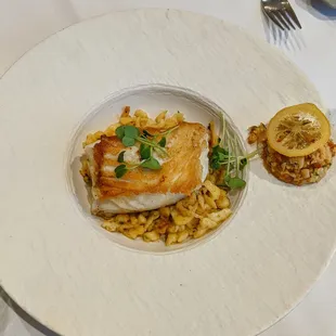 White Seabass Mediterraneo