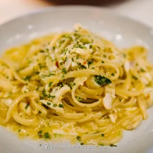 a plate of pasta with parmesan cheese