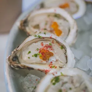a platter of oysters on ice